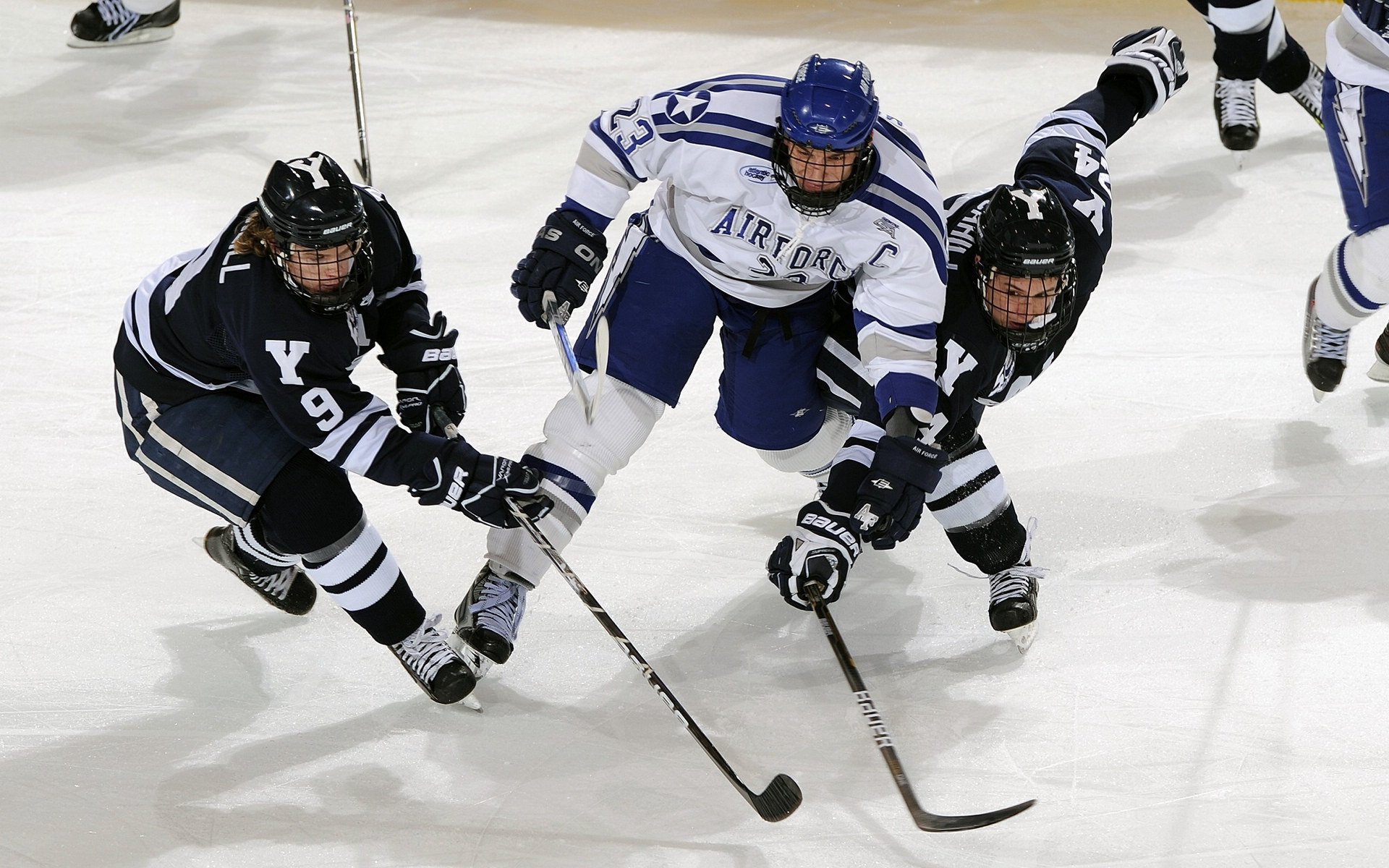 塔图姆数据全面爆炸，黄蜂主场力克奇才，全能表现预示巨星蜕变
